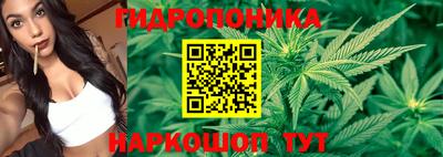марки nbome Заводоуковск